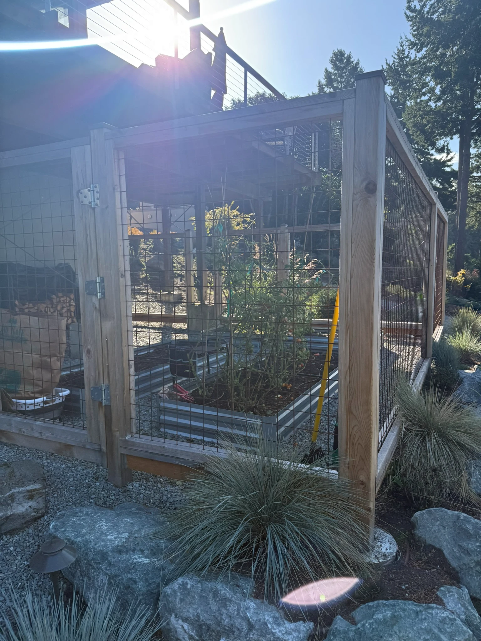 Backyard garden irrigated by Rainwise cistern