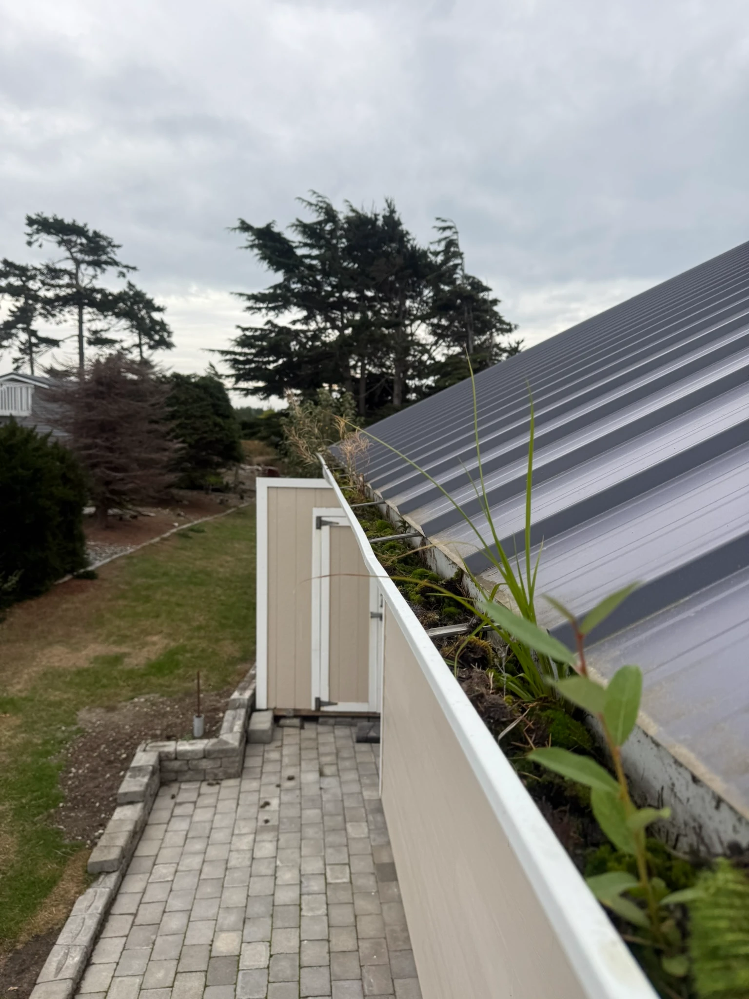 Gutter full of moss before Rainwise upgrades