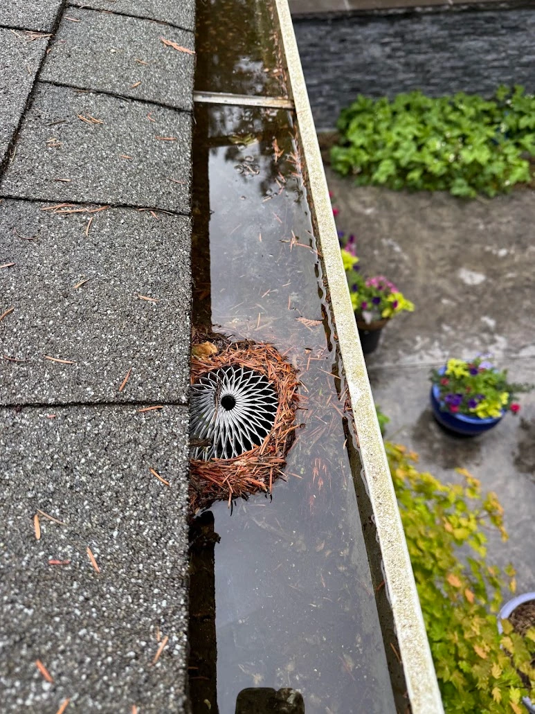 Water-filled gutter and clogged downspout before correction.