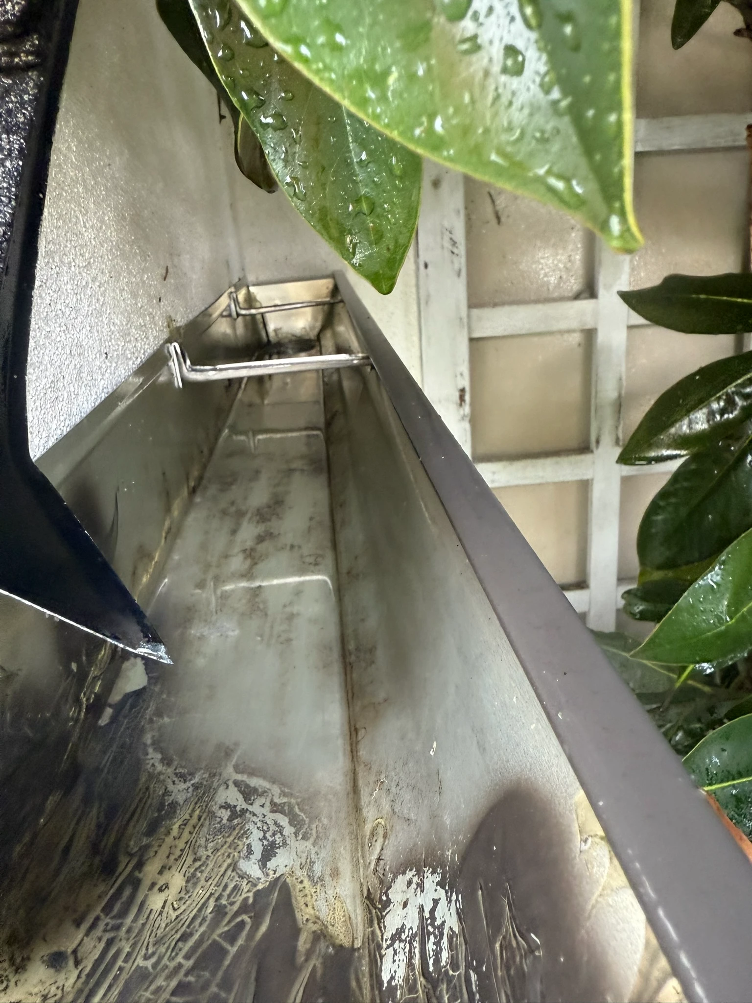 Clean gutters after mesh guard installation
